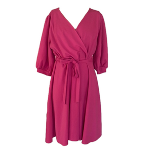 NWT Janette plus dress